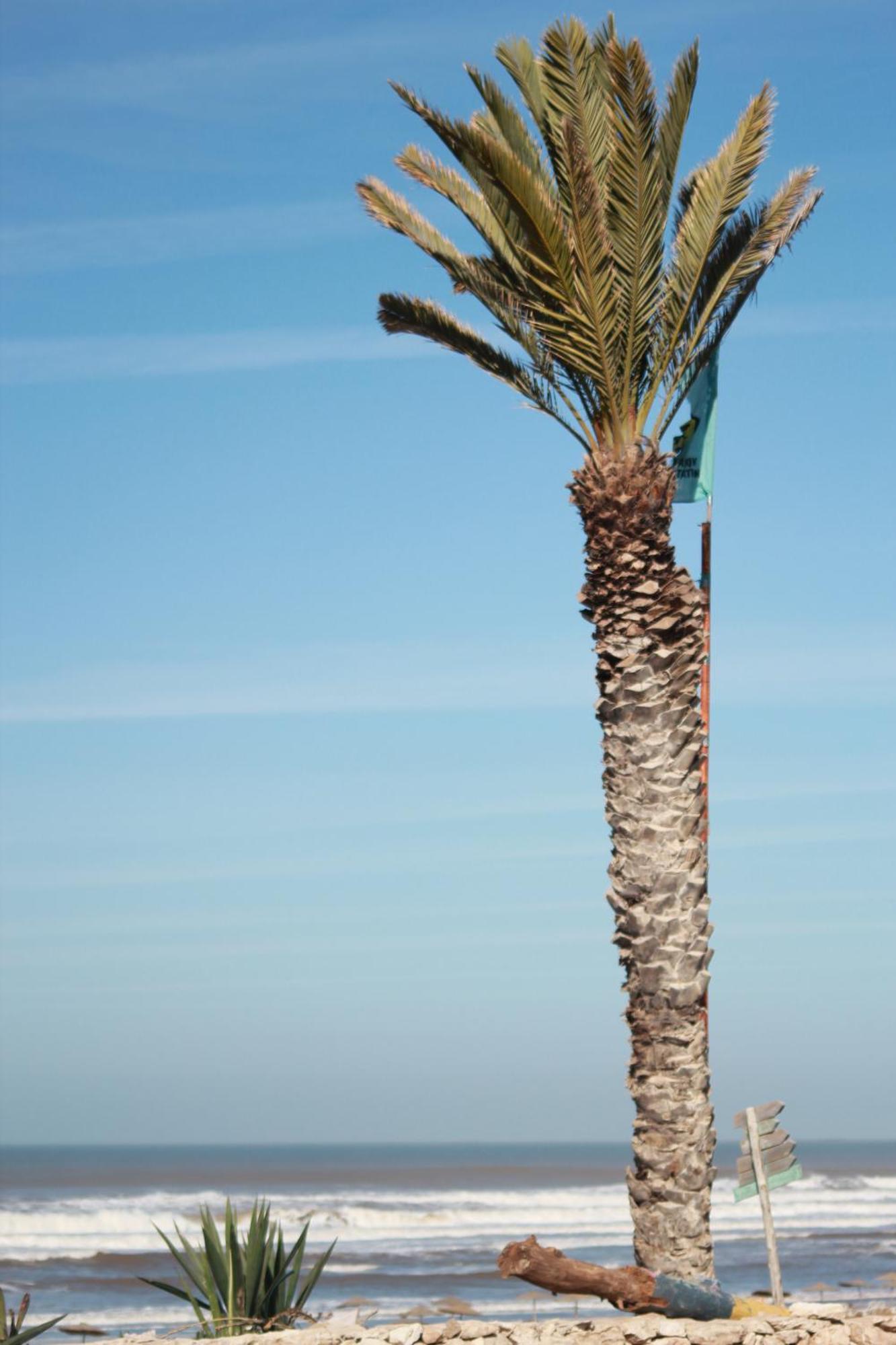 La Maison Des Vagues ซิดี้คาโอกี ภายนอก รูปภาพ